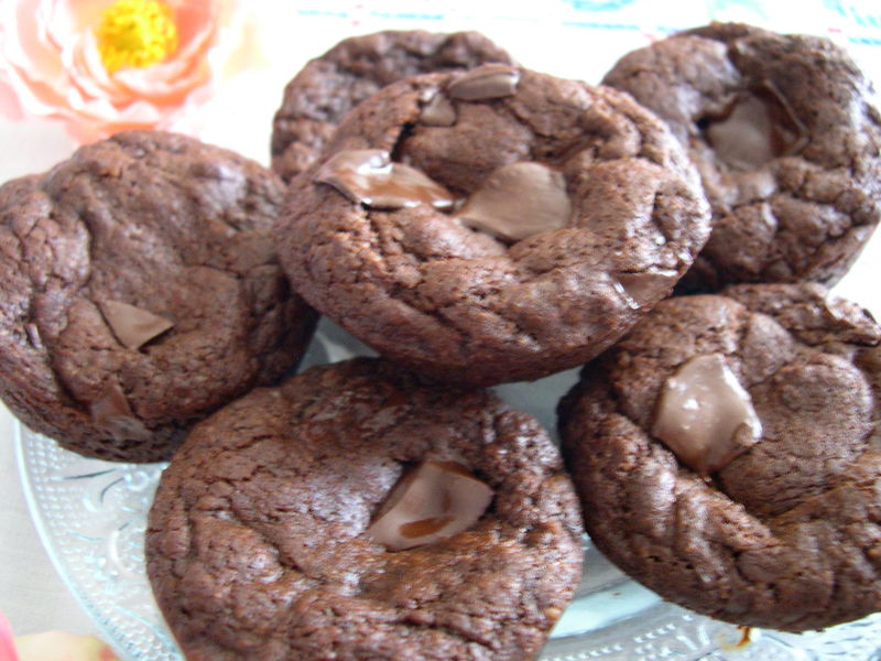 cookies_fort_en_chocolat_015