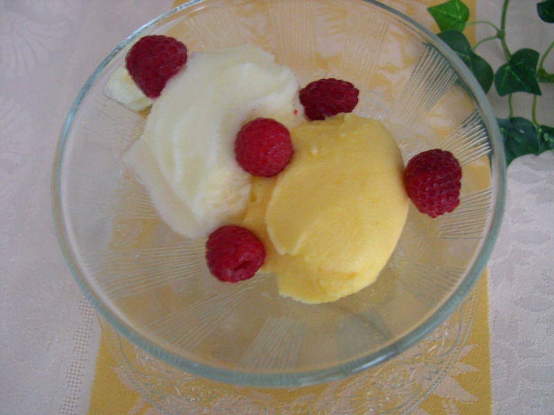 SORBET_ORANGE_1__2_