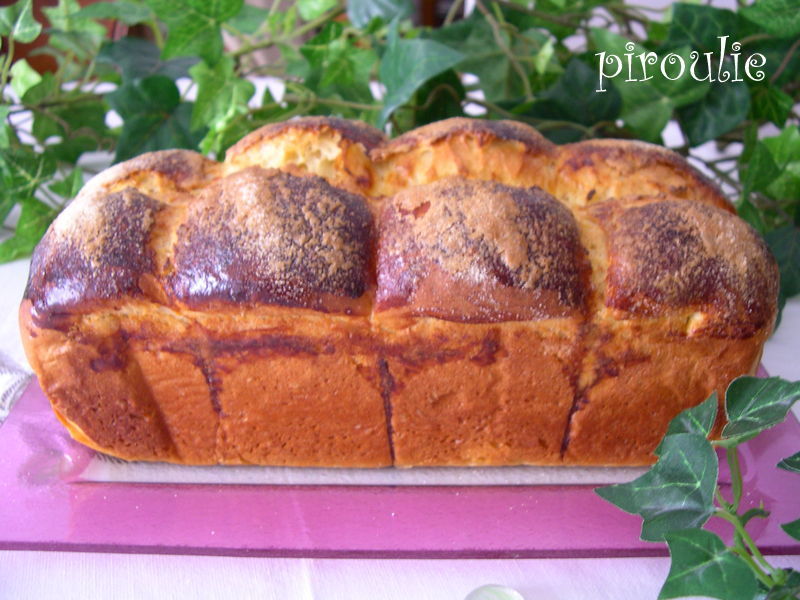 brioche_de_nanterre__6_