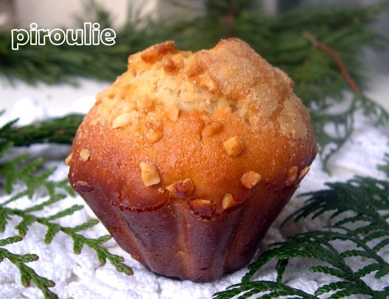 brioche_de_l_espace__5_