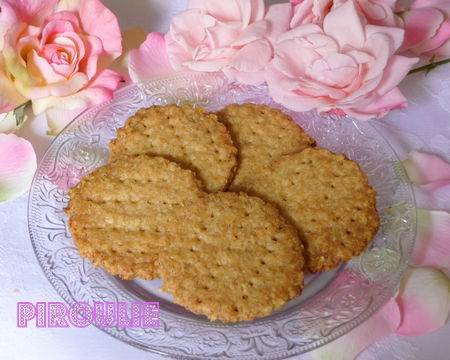 digestive_biscuit__3_