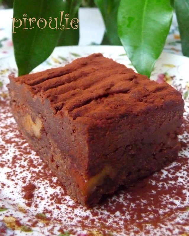 brownie__2_