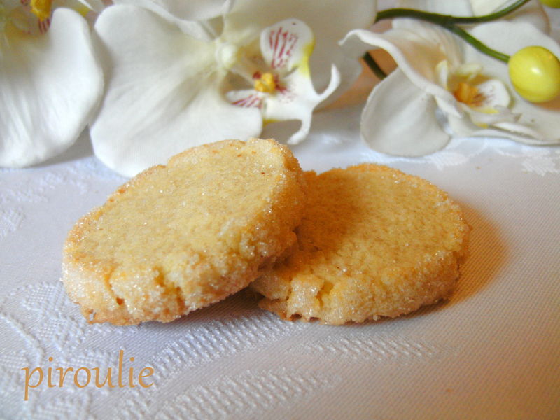biscuit_diamant__7_