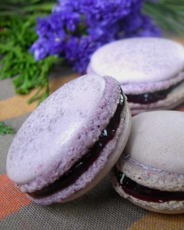macaron_myrtille__5_