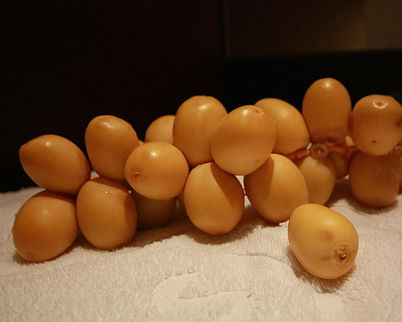 fruit_divers__2_