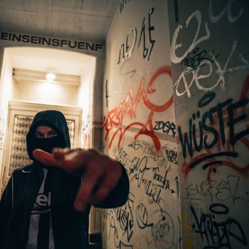 Cover: Venti - WÜSTE