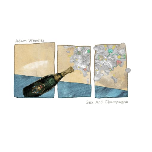 Cover: Adam Wendler - Sex And Champagne