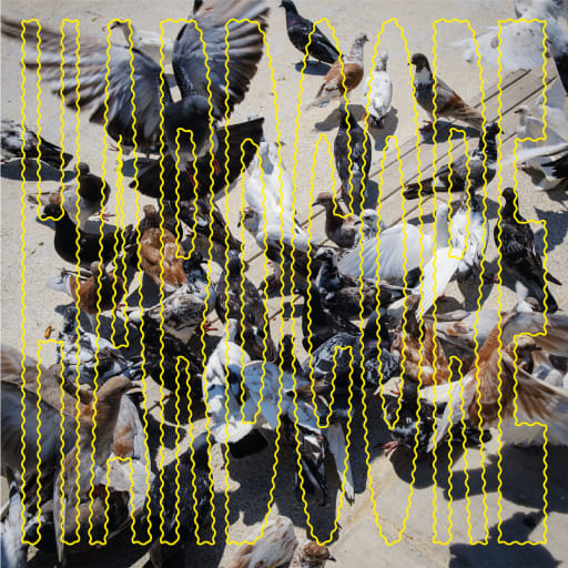 Cover: SALÒ - Hardcore