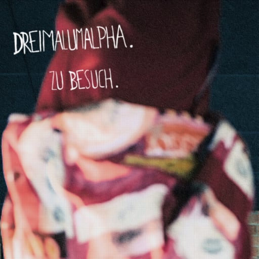 Cover: dreimalumalpha - Zu Besuch