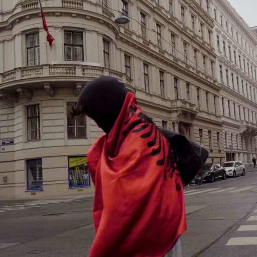 Cover: Sadi - Albaner mit Swag