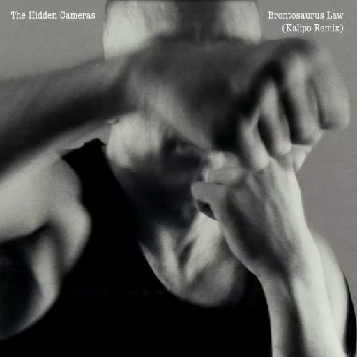 The Hidden Cameras: Brontosaurus law (Kalipo Remix)