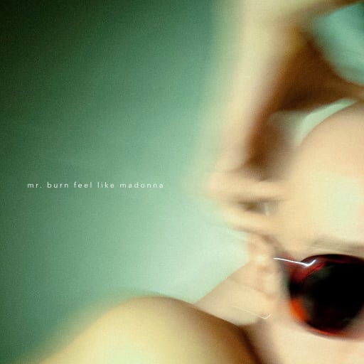 Cover: Mr. Burn - Where My Rules Apply