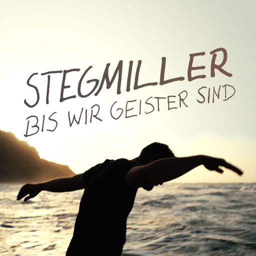 Cover: stegmiller - Bis wir Geister sind