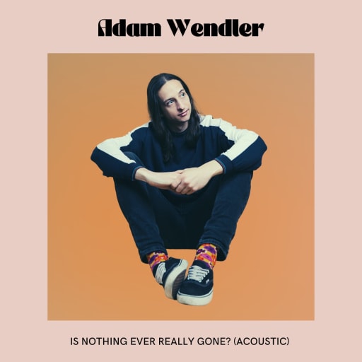 Cover: Adam Wendler - Is Nothing Ever Really Gone (Acoustic)