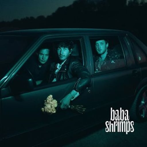Baba Shrimps: III