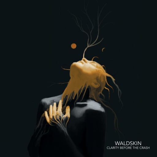 Waldskin: Clarity Before The Crash