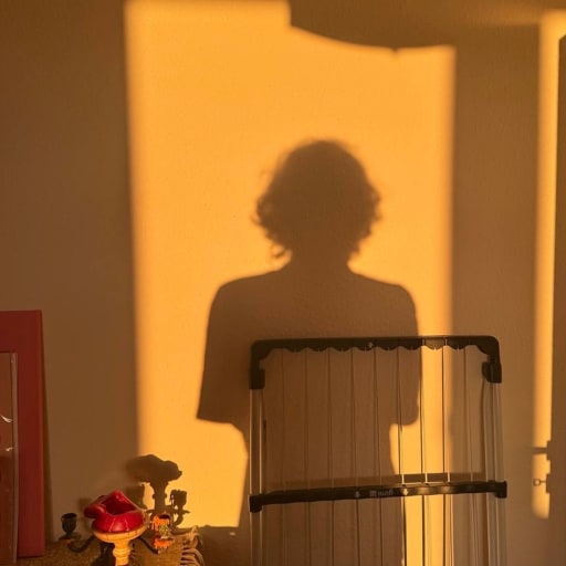 Cover: 2ersitz - introvertiert