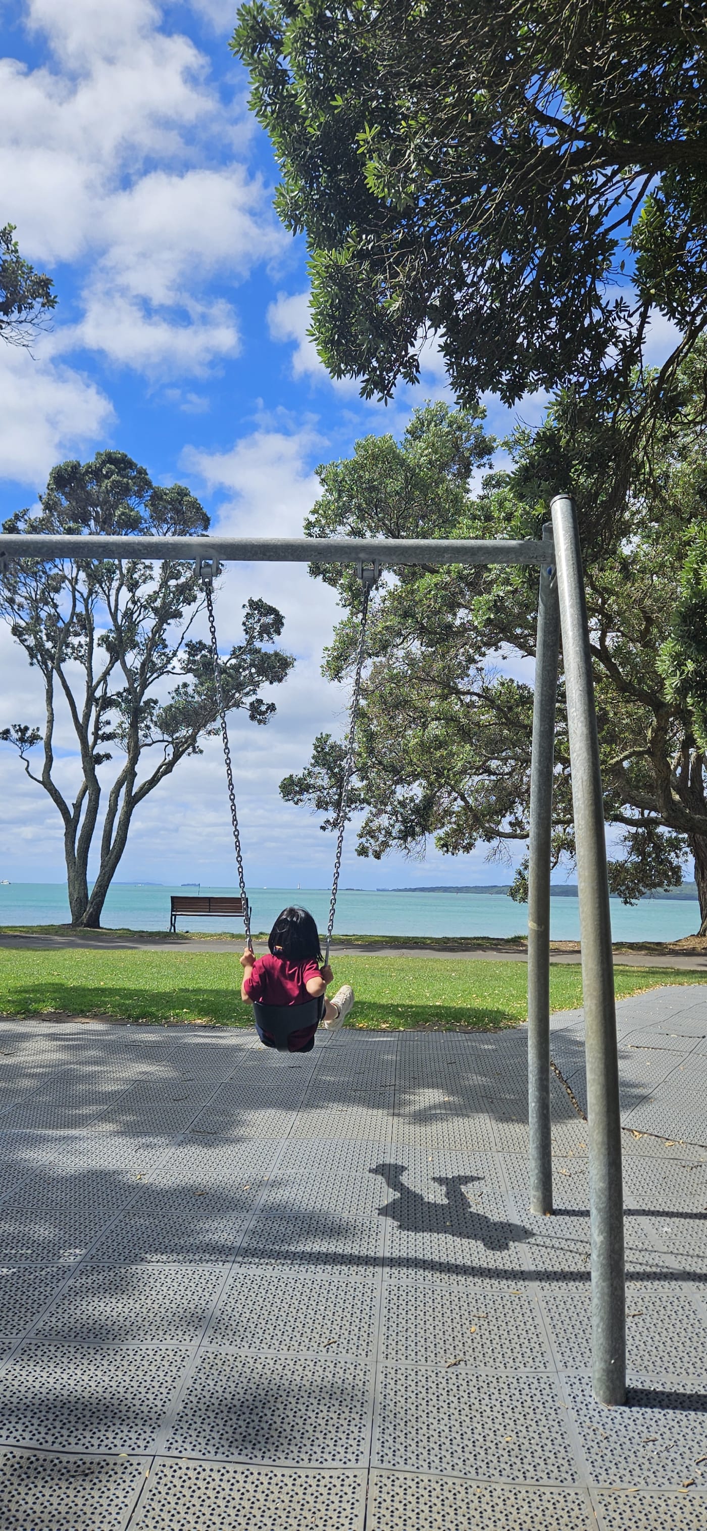 Narrow Neck Beach near the playground