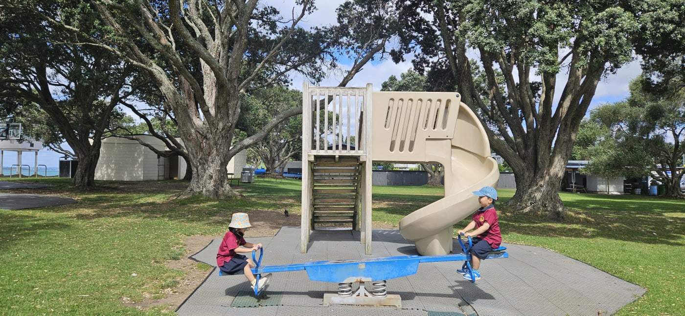 Narrow Neck Beach Playground