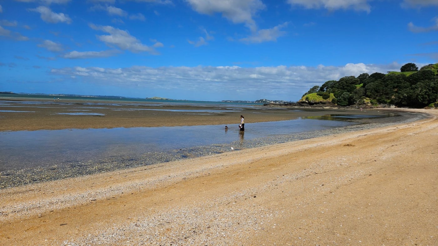 Cheltenham Beach with North Head in the background