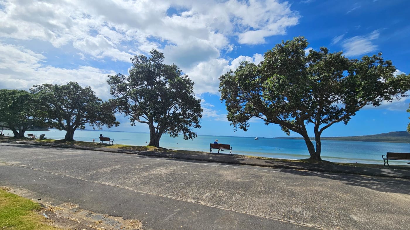Narrow Neck Beach shoreline and Rangitoto view