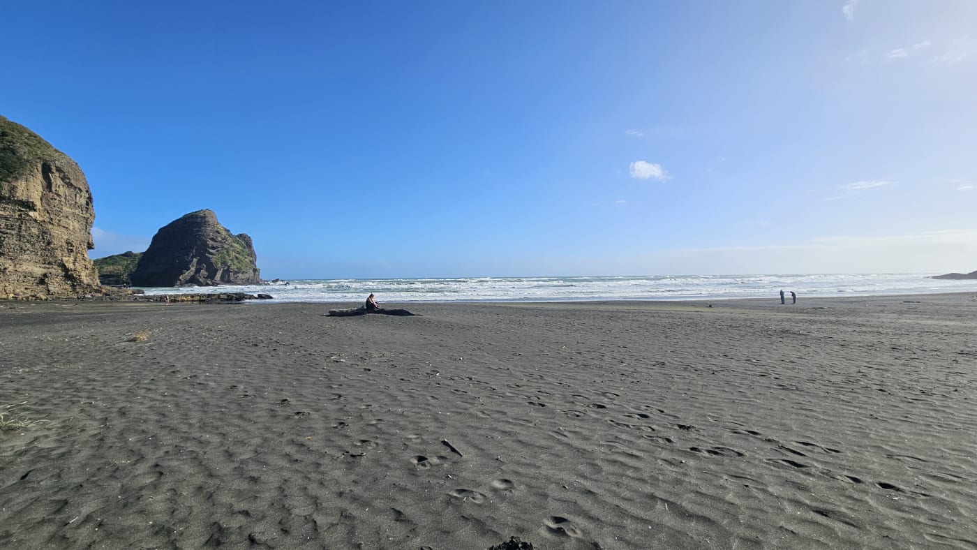 Lion Rock at Piha Beach, New Zealand