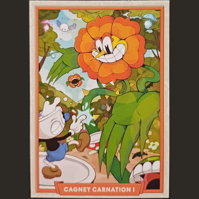 Cagney carnation I 