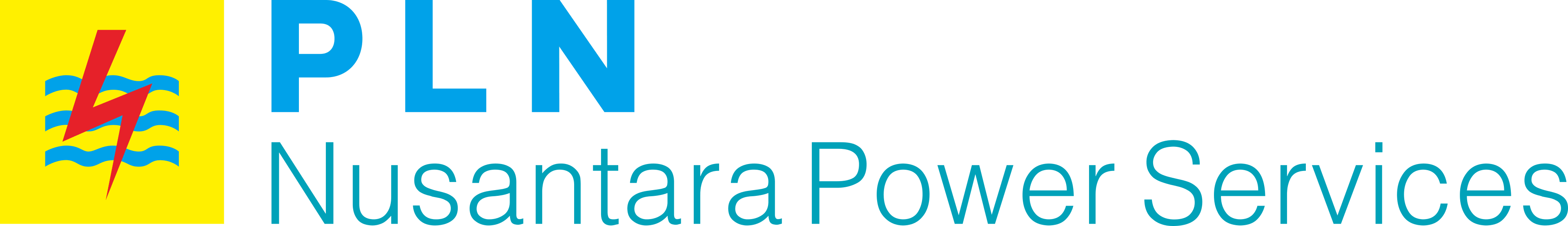 PLN Nusantara Services