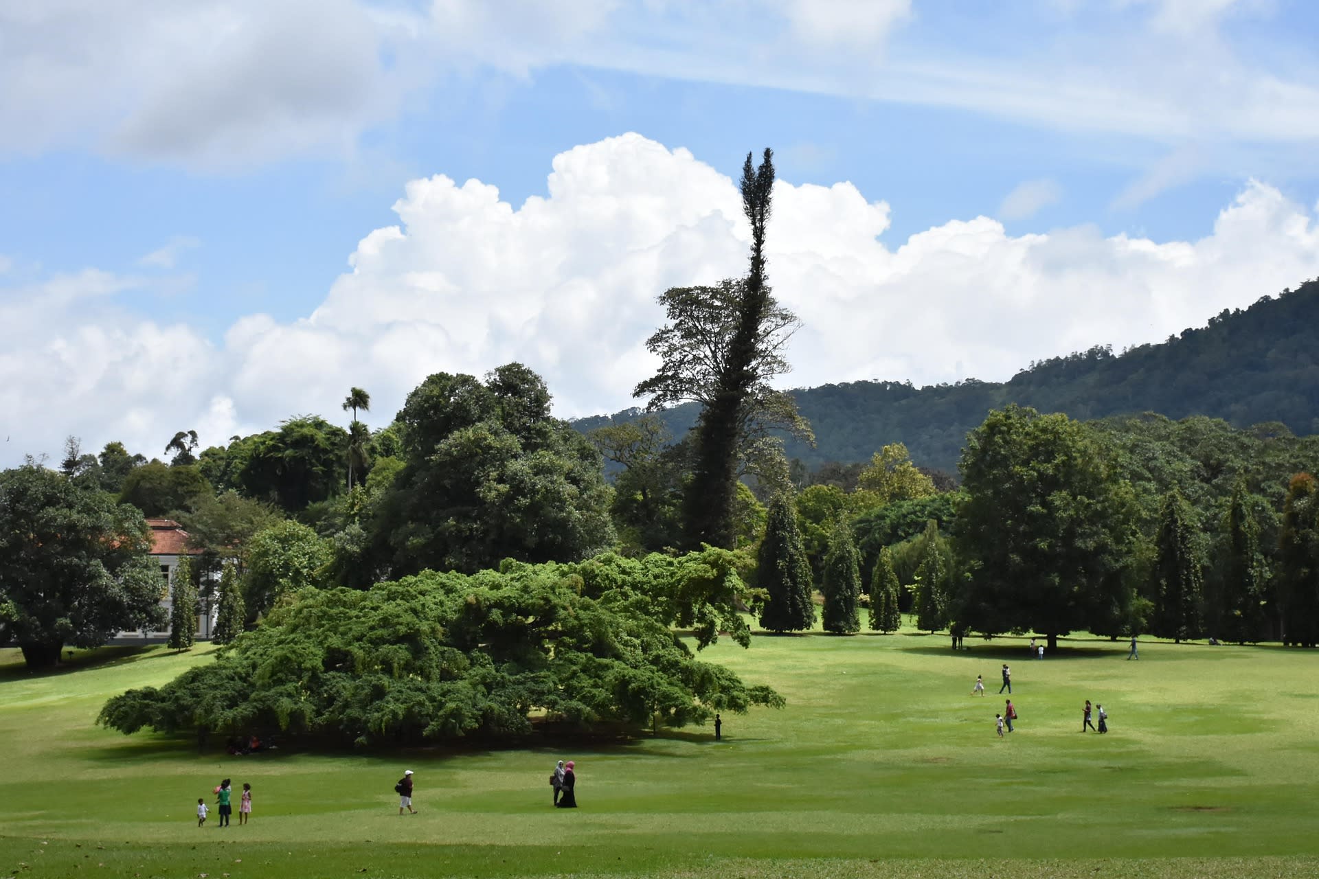 Peradeniya
