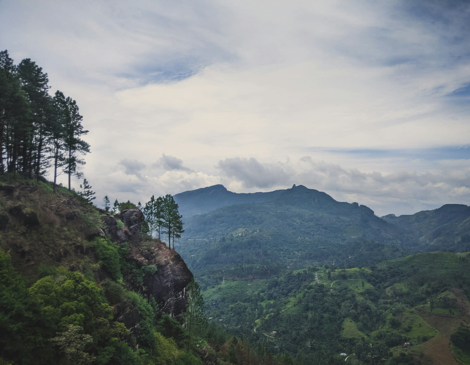 Tea plantations near Kandy hill country