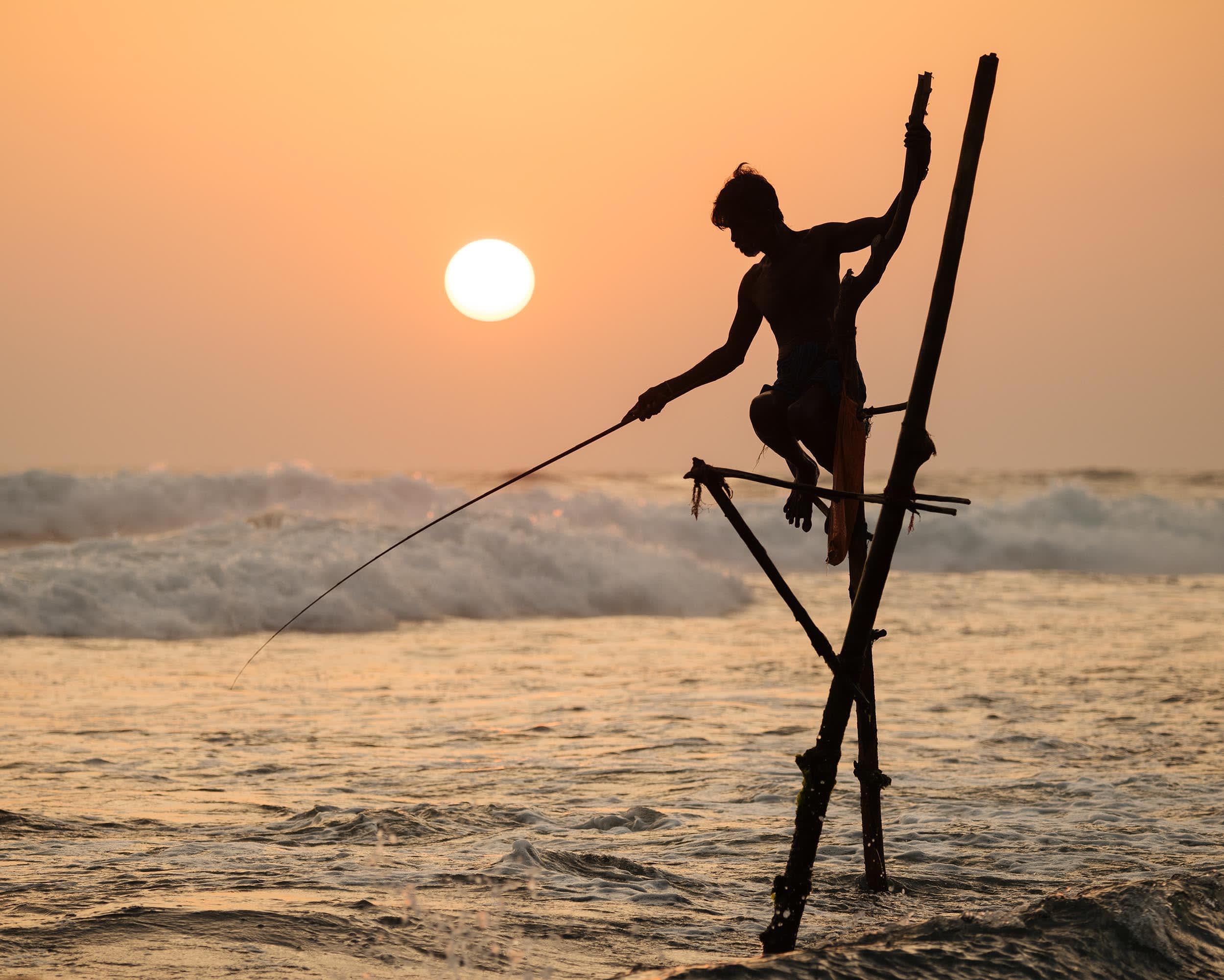 Stilt fishermen at Weligama Sri Lanka