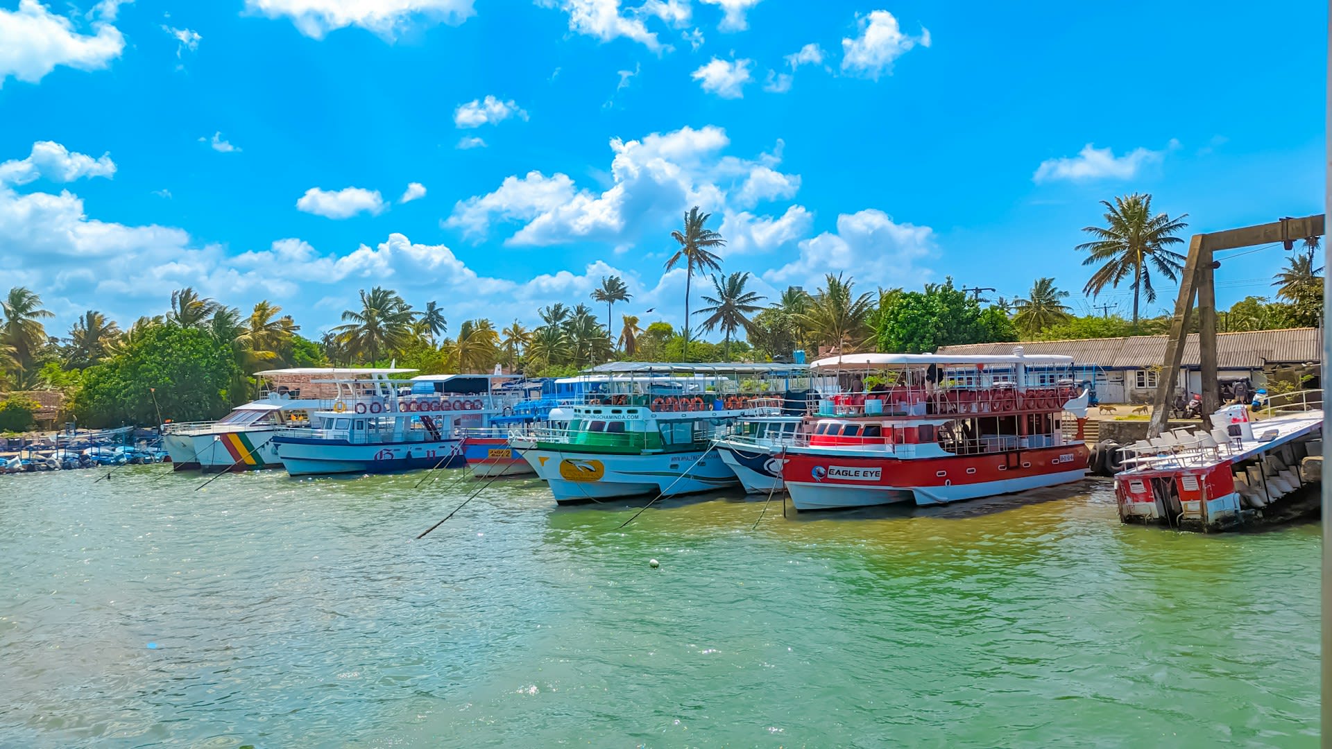 Mirissa Harbour