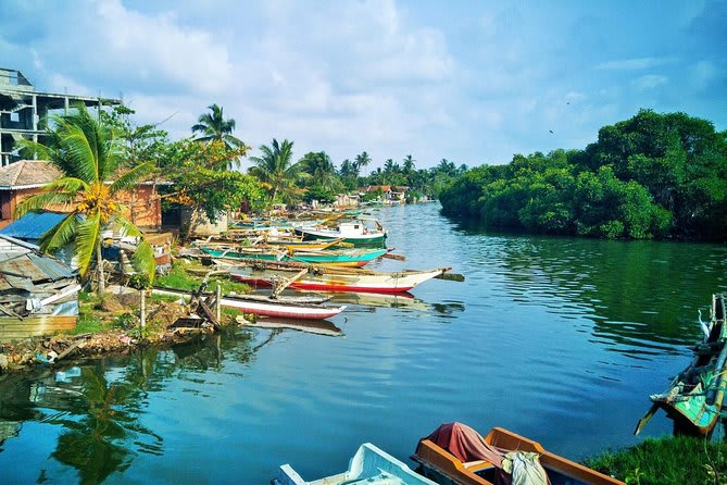 Negombo Lagoon