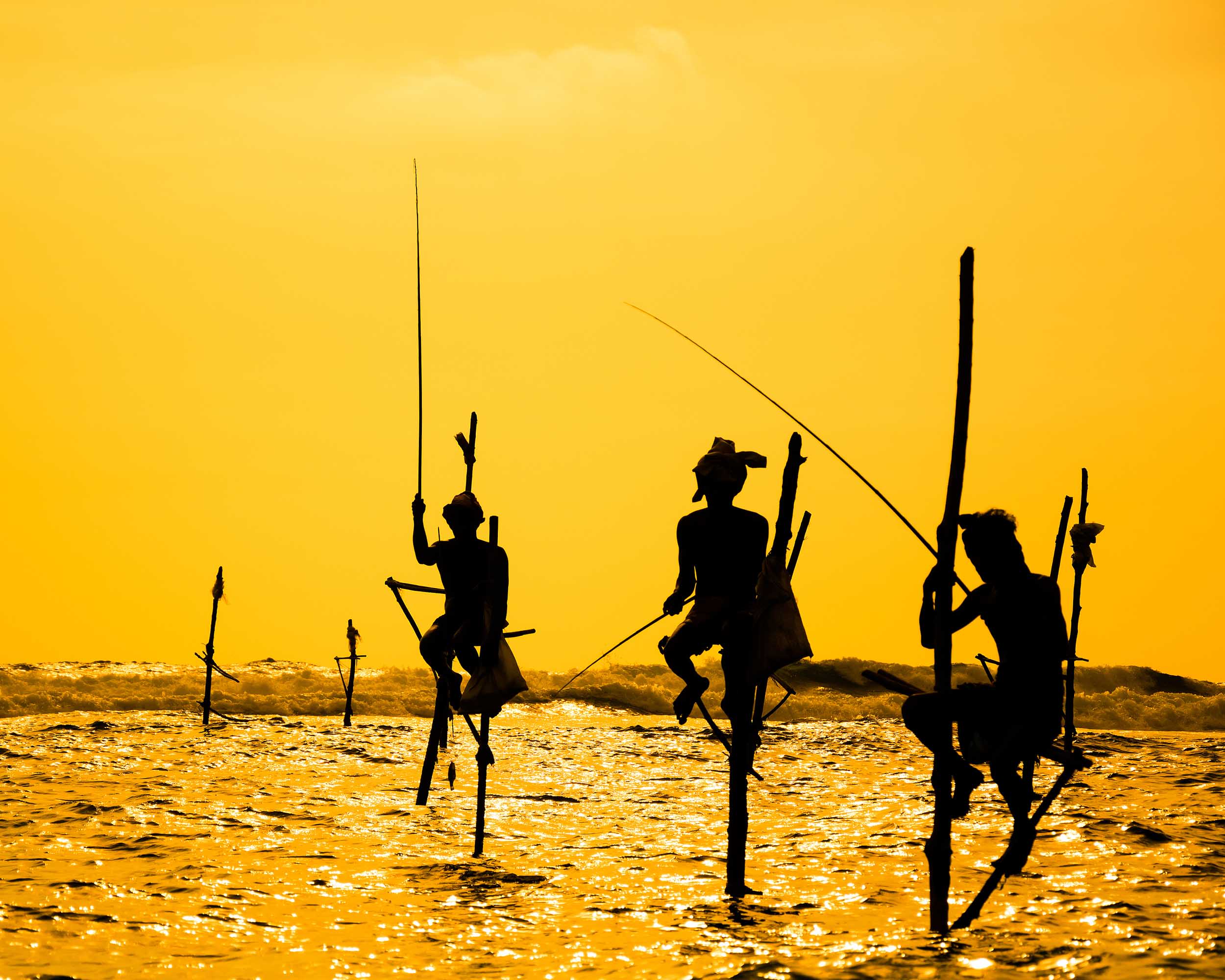 Stilt fishermen at sunrise Ahangama
