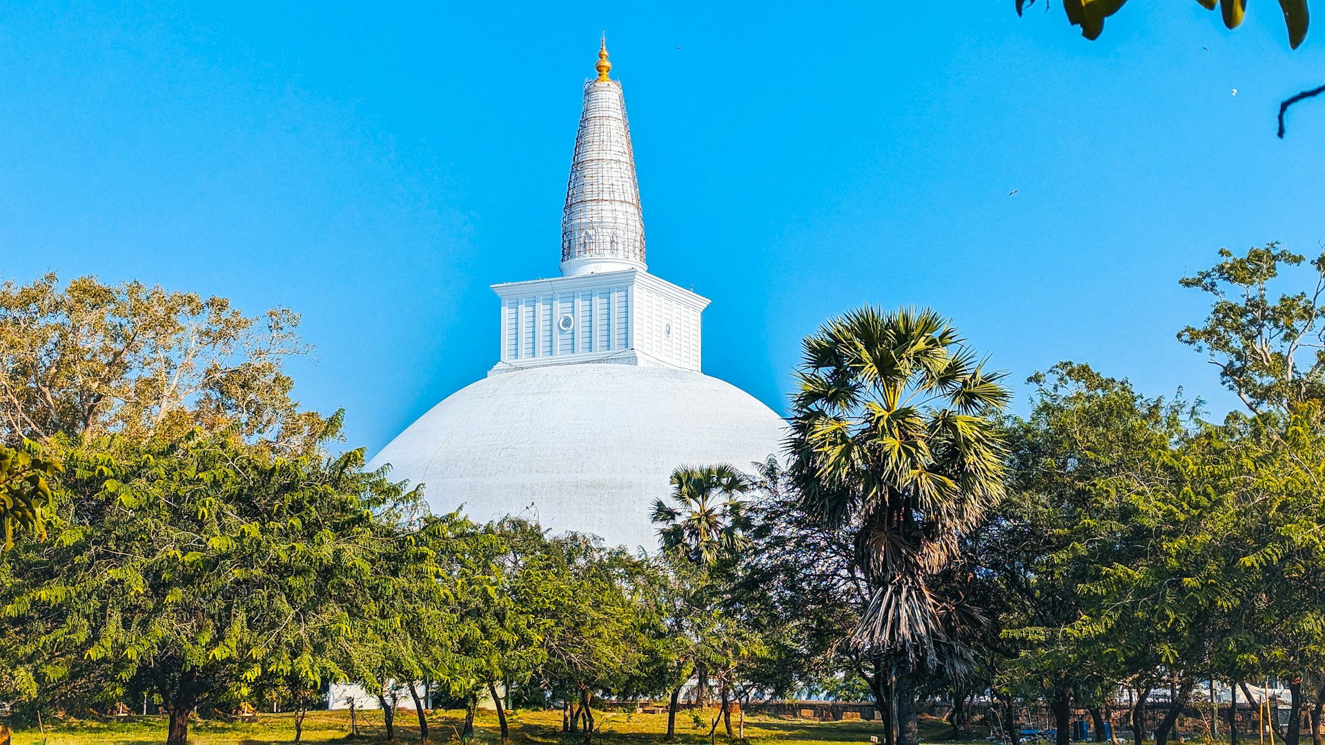 Anuradhapura Day Tour