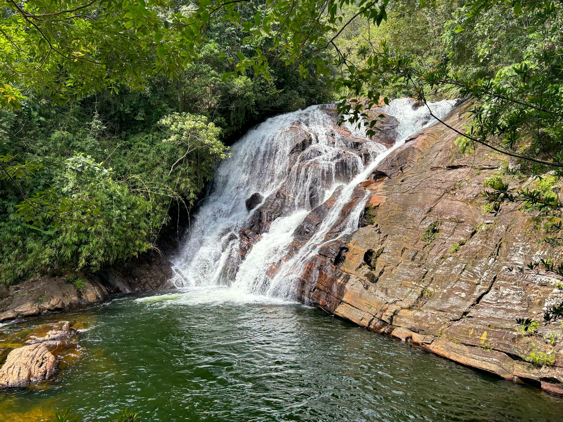 Sinharaja forest reserve