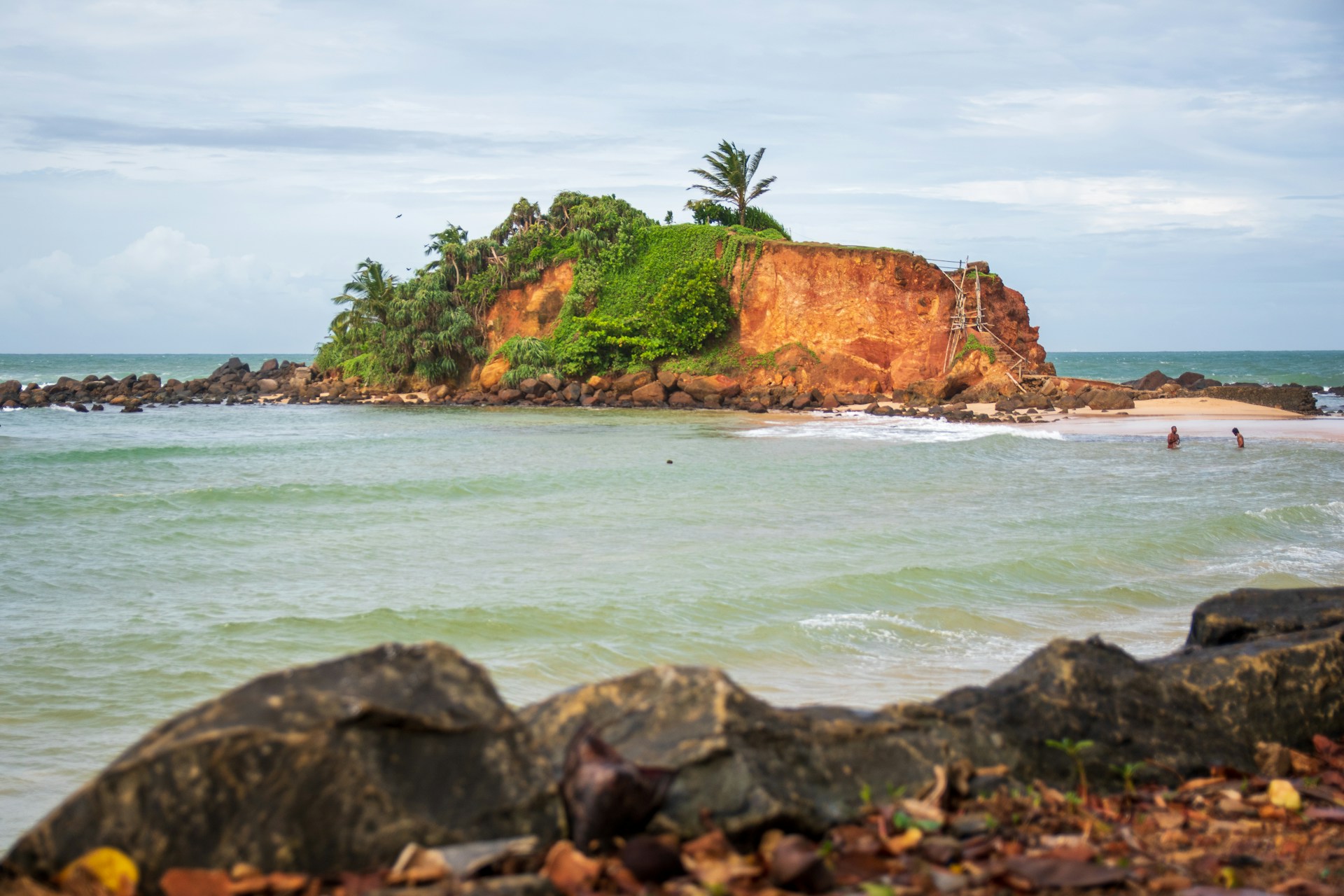 Parrot Rock