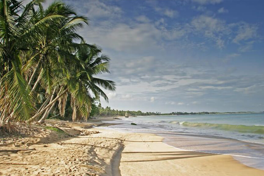 Rekawa turtle beach and Bundala wildlife near Tangalle