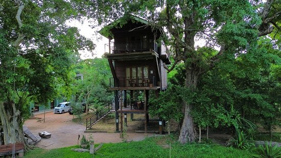 Wilpattu Nearby