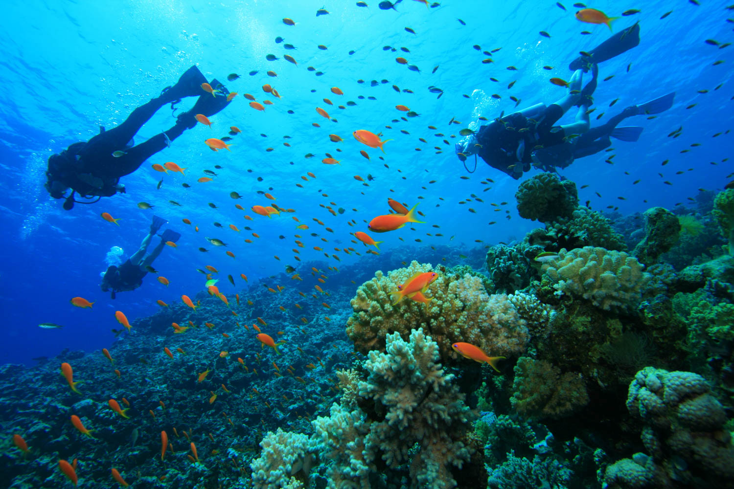 Pasikuda Reef