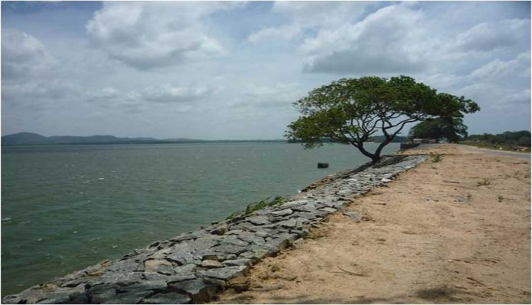 Minneriya Tank Bund