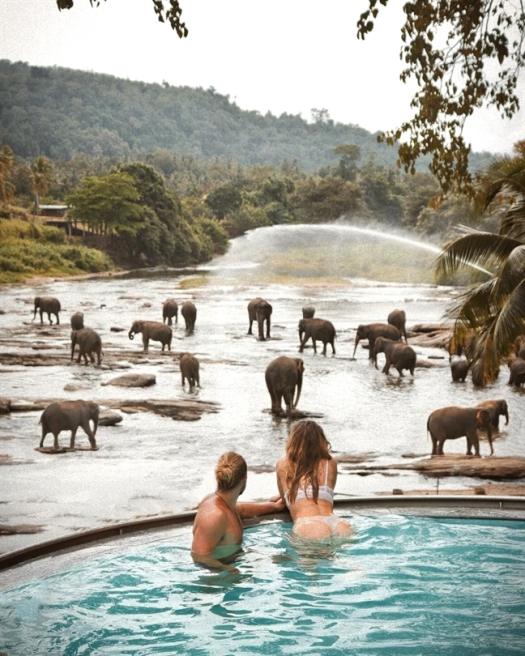 Bath Time at the Maha Oya