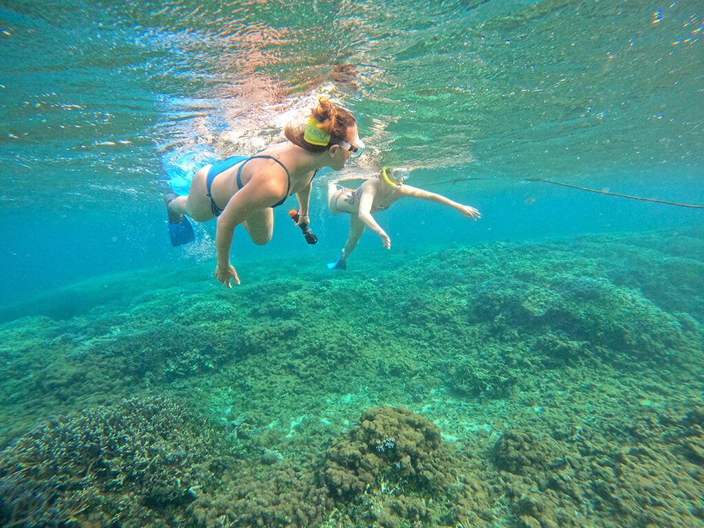 Snorkeling the Inner Reef