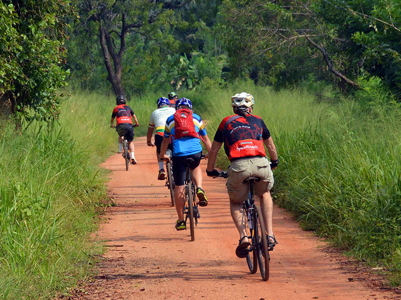 Sigiriya Village Loop
