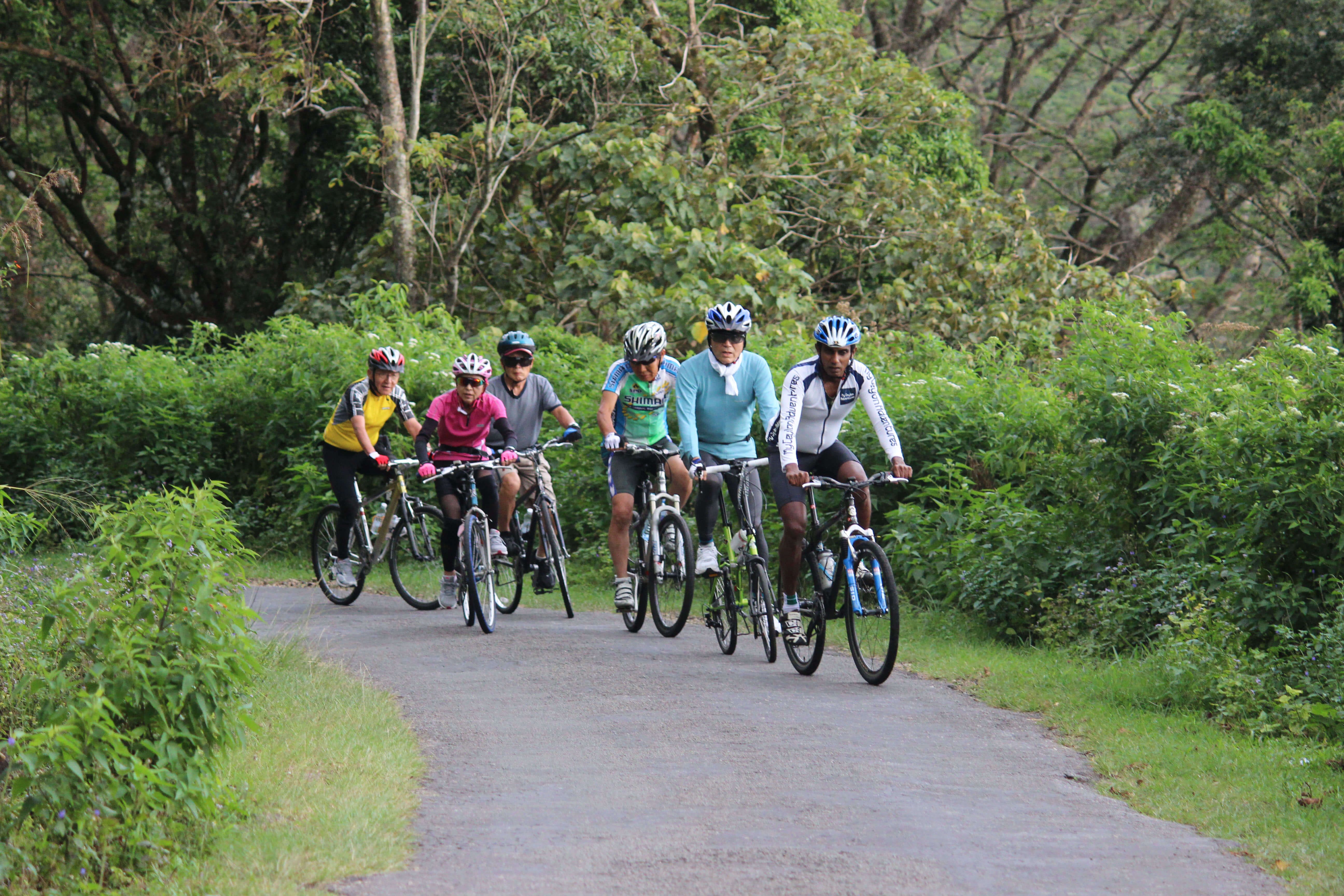 Kandy Tea Estate Climb