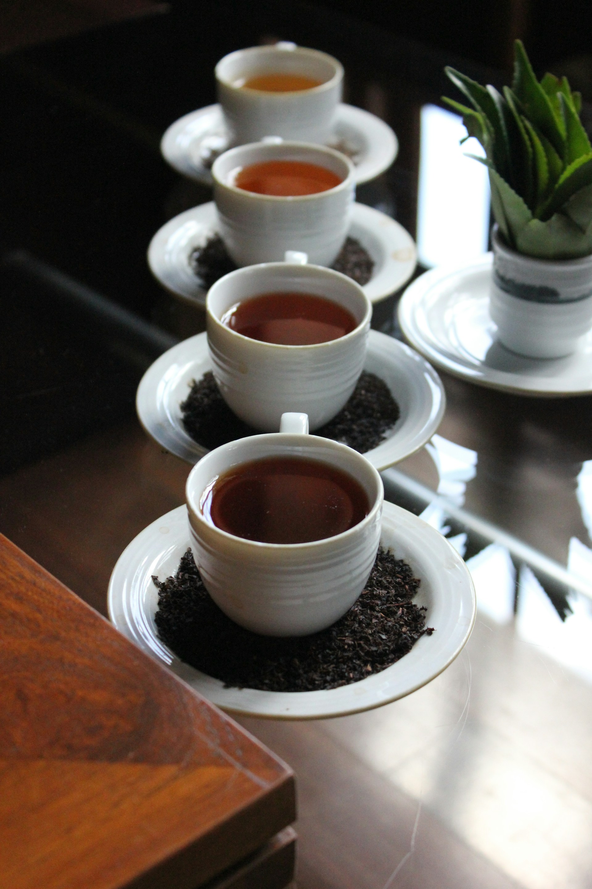 The Professional Tea Tasting