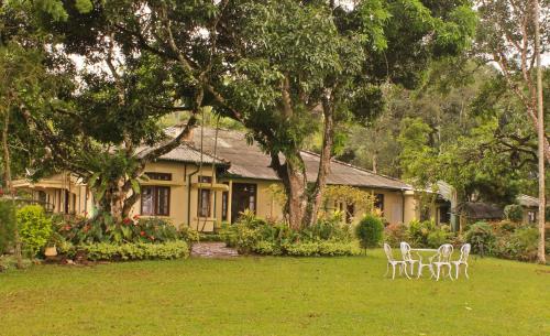Lunch at the Planter's Bungalow