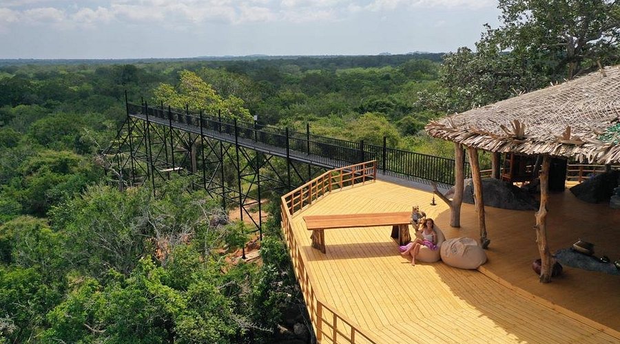 Yala — Leopard Country Camp
