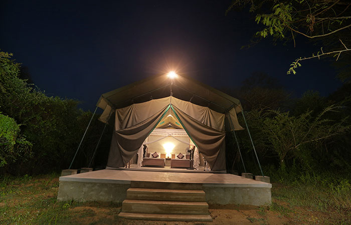 Wilpattu — The Old Wilderness