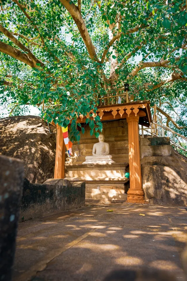 Anuradhapura taxi service